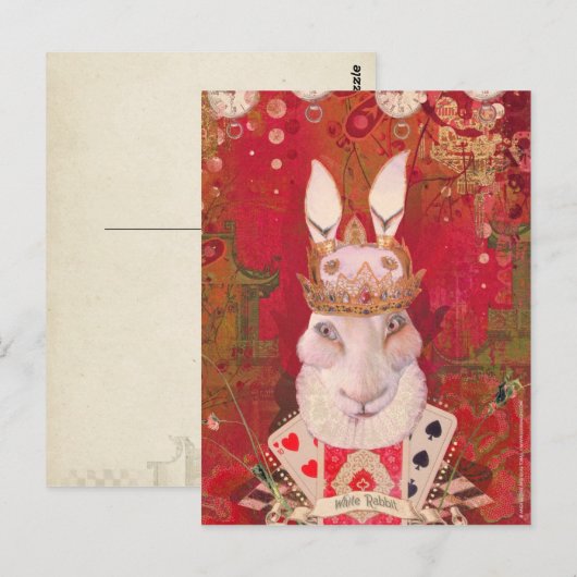 Witte konijn briefkaart (Voorkant / Achterkant)