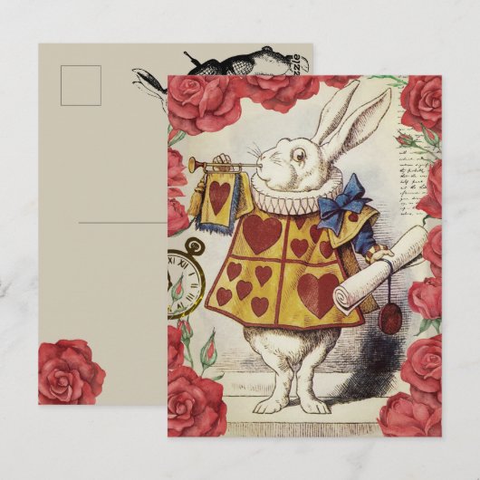 Witte konijn briefkaart (Voorkant / Achterkant)