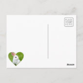 Witte konijn briefkaart (Achterkant)