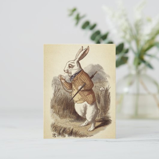 Witte konijn briefkaart (Staand voorkant)