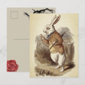 Witte konijn briefkaart (Voorkant / Achterkant)