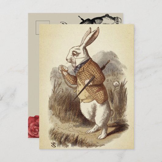 Witte konijn briefkaart (Voorkant / Achterkant)