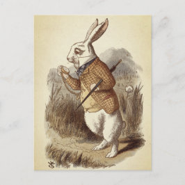 Witte konijn briefkaart