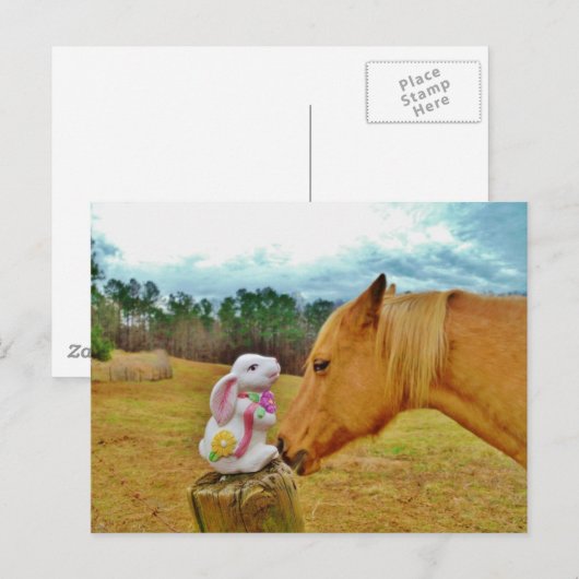 Witte konijn en Gele Paarden Briefkaart (Voorkant / Achterkant)