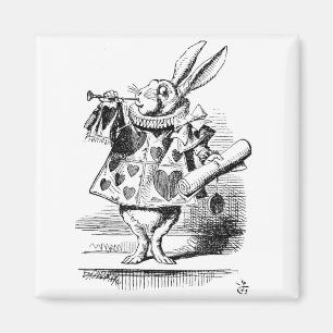 Witte konijn gekleed als Herald Magneet