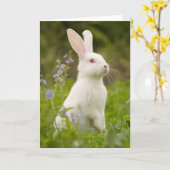 Witte Konijn Kaart (Gele Bloem)
