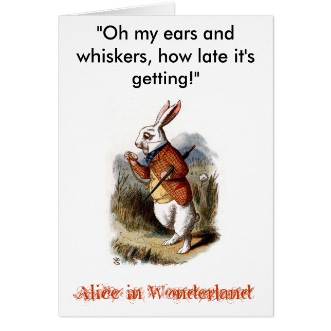 Witte konijn (kleur) (Voorkant)