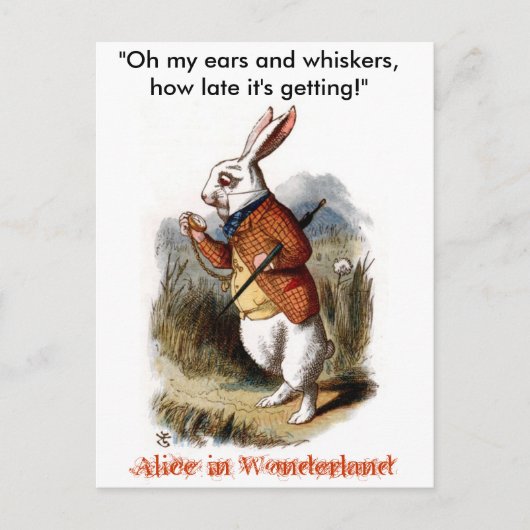 Witte konijn (kleur) briefkaart (Voorkant)