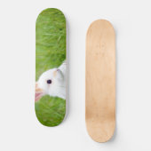 Witte konijn skateboard (Voorkant)