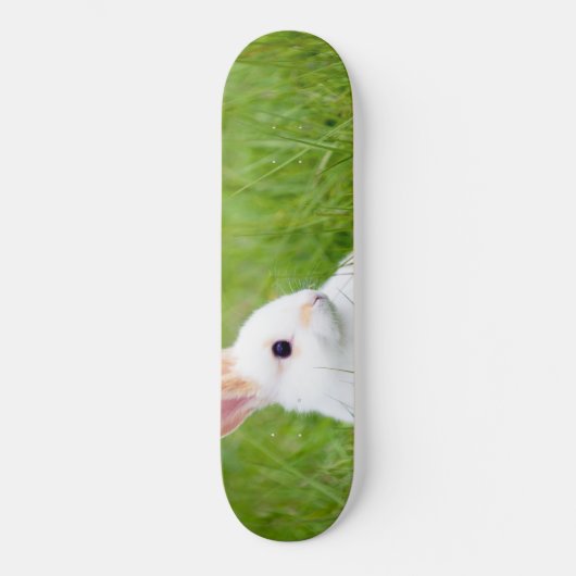 Witte konijn skateboard (Voorkant)