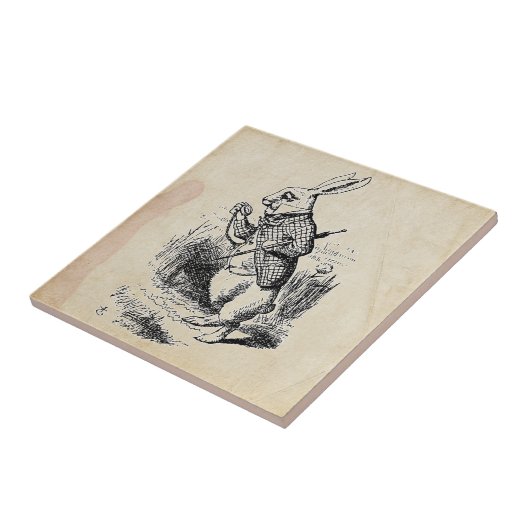  witte konijn tegeltje (Zijkant)