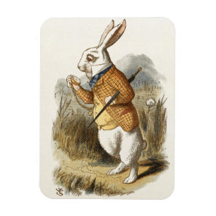 Witte konijn van Alice in Wonderland Kunst Magneet