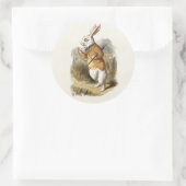 Witte konijn van Alice in Wonderland Kunst Ronde Sticker (Tas)