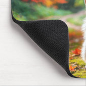 Witte konijn verstopt zich achter een rood esdoorn muismat (Hoek)