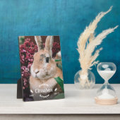 Witte konijnenpoten groen foto konijnenmonument fotoplaat (Zijkant)