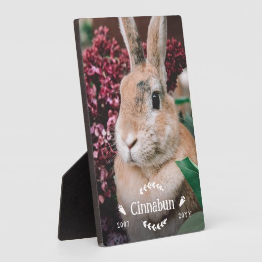 Witte konijnenpoten groen foto konijnenmonument fotoplaat (Zijkant)