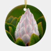 Witte koning Protea Blossom, kerstversiering Keramisch Ornament (Voorkant)