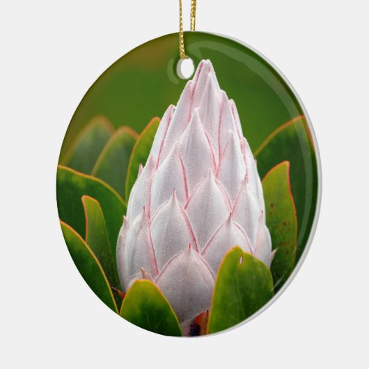 Witte koning Protea Blossom, kerstversiering Keramisch Ornament (Links)