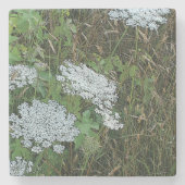 Witte Koningin Anne's kant wilde bloem Stenen Onderzetter (Voorkant)