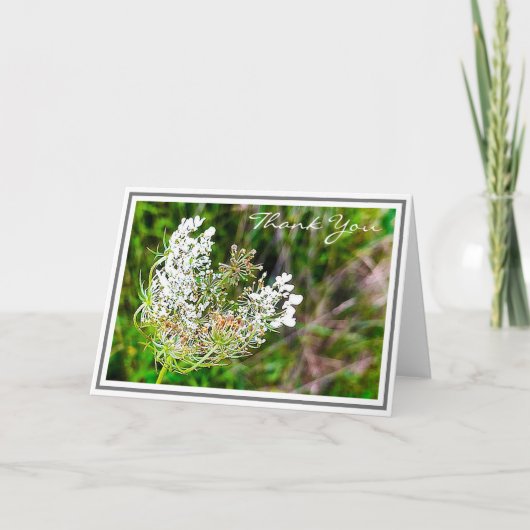 Witte Koningin Anne's Lace Flower in Green Field Kaart (Voorkant)