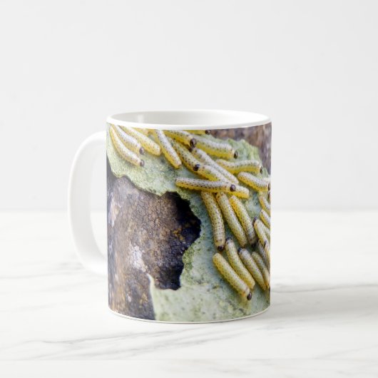 Witte kool Mokken (Voorkant links)