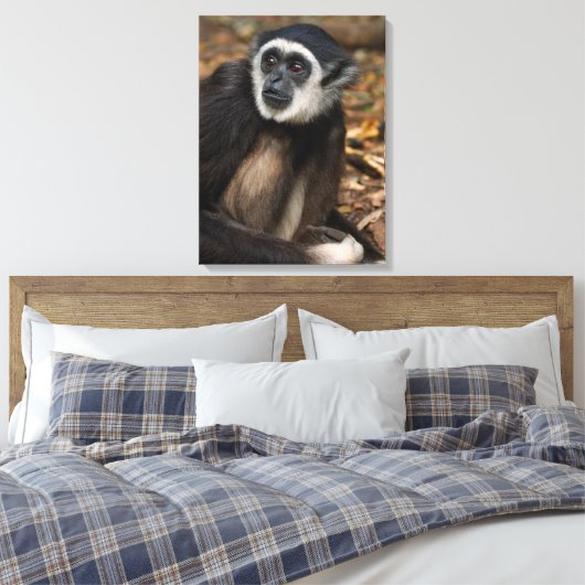 Witte koolstof (Hylobates Lar), Monkeyland Canvas Afdruk (Insitu (Slaapkamer))