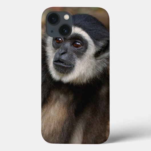 Witte koolstof (Hylobates Lar), Monkeyland Case-Mate iPhone Case (Achterkant)