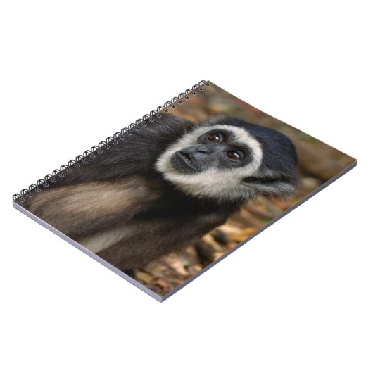 Witte koolstof (Hylobates Lar), Monkeyland Notitieboek (Linkerzijde)