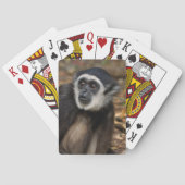 Witte koolstof (Hylobates Lar), Monkeyland Pokerkaarten (Achterkant)