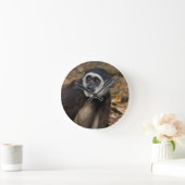 Witte koolstof (Hylobates Lar), Monkeyland Ronde Klok (Huis)