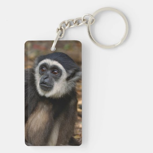 Witte koolstof (Hylobates Lar), Monkeyland Sleutelhanger (achterkant)