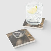 Witte koolstof (Hylobates Lar), Monkeyland Stenen Onderzetter (Zijkant)