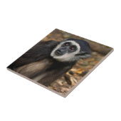 Witte koolstof (Hylobates Lar), Monkeyland Tegeltje (Zijkant)