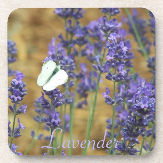 Witte koolvlinder op lavendel bier onderzetter (Voorkant)