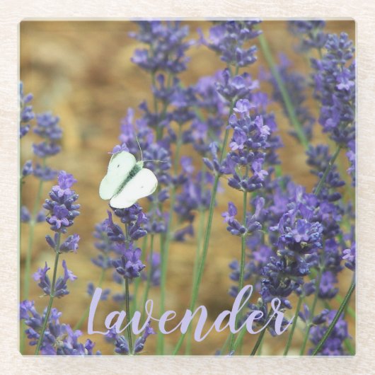 Witte koolvlinder op lavendel glazen onderzetter (Voorkant)