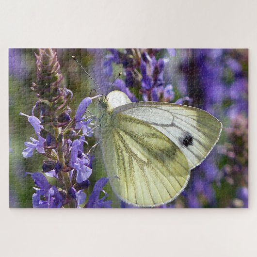 Witte koolvlinder Pieris Rapae. Legpuzzel (Horizontaal)
