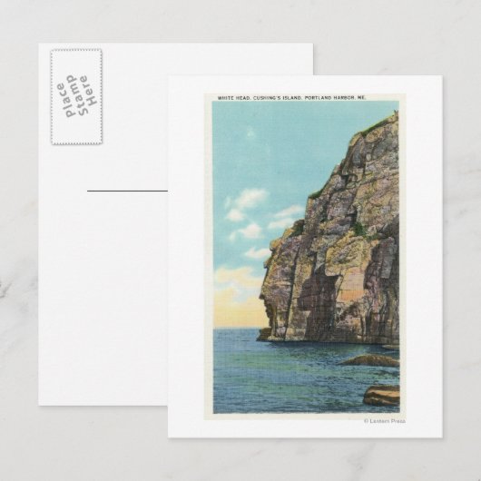 Witte kop in de haven van Portland Briefkaart (Voorkant / Achterkant)