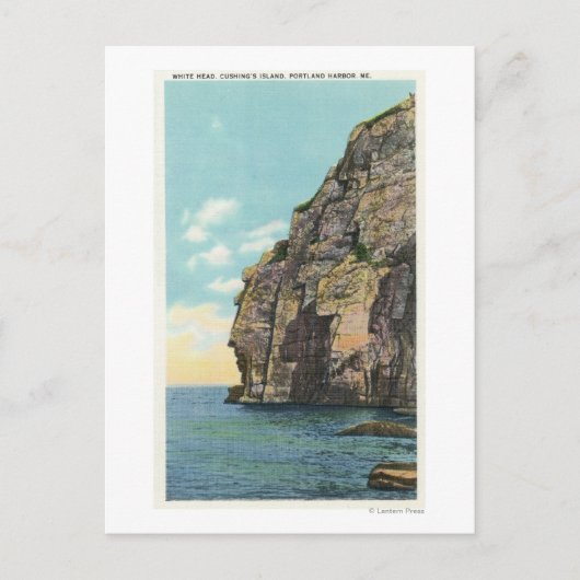 Witte kop in de haven van Portland Briefkaart (Voorkant)