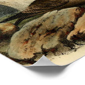 Witte kopmeeuw poster (Hoek)