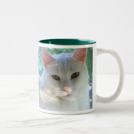 Witte korte haarkat mok met vers (Rechts)