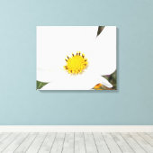 Witte Kosmos Bloem Foto Bloemen Close-up Canvas Afdruk (Insitu (Houten vloer))
