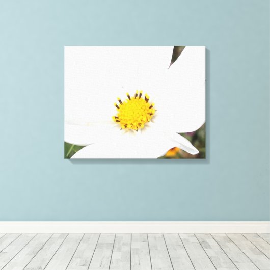Witte Kosmos Bloem Foto Bloemen Close-up Canvas Afdruk (Insitu (Houten vloer))