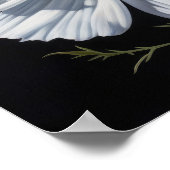 Witte Kosmos Bloemen Art Print Poster (Hoek)