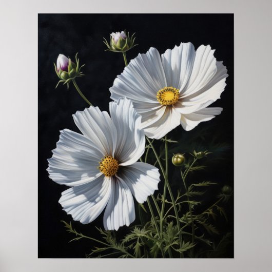 Witte Kosmos Bloemen Art Print Poster (Voorkant)