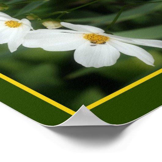 Witte kosmos bloemen en bij Abstract Poster (Hoek)