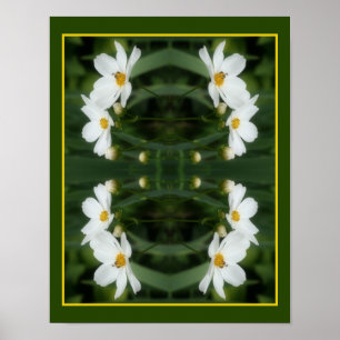 Witte kosmos bloemen en bij Abstract Poster
