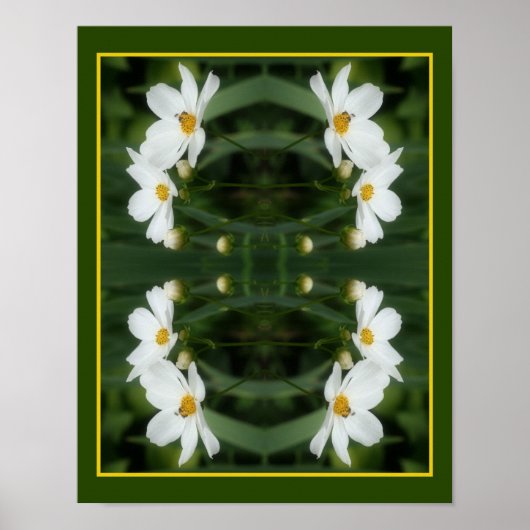 Witte kosmos bloemen en bij Abstract Poster (Voorkant)