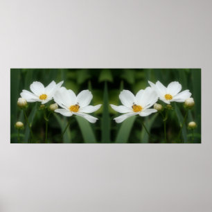 Witte kosmos bloemen en bijenspiegel Abstract Poster