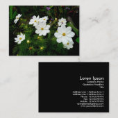 Witte Kosmos Bloemen, Mini Foto Visitekaartje (Voorkant / Achterkant)