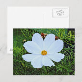 Witte kosmos briefkaart (Voorkant / Achterkant)